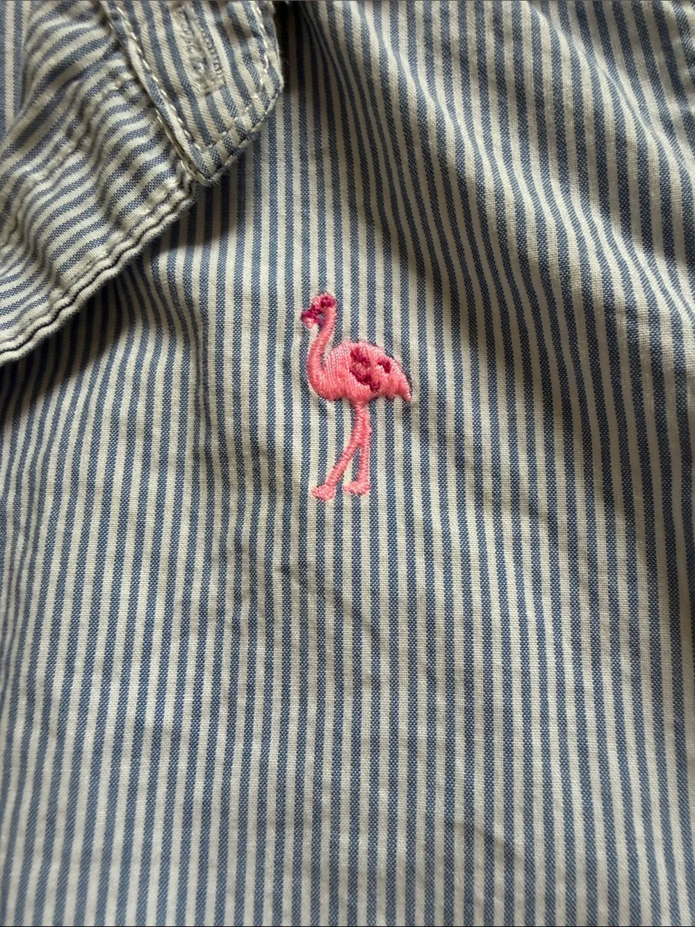 Carter's Blue Pinstripe Button-Down Shirt with Flamingo Shorts
